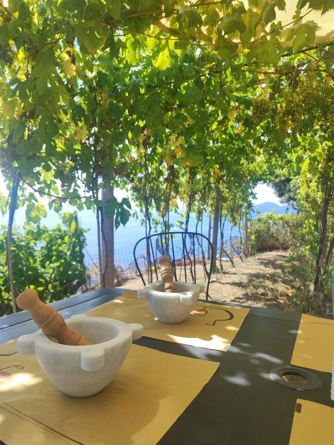 Volastra: BarCa Wine Tasting in Cinque Terre and Pesto Class - Overview and Pricing