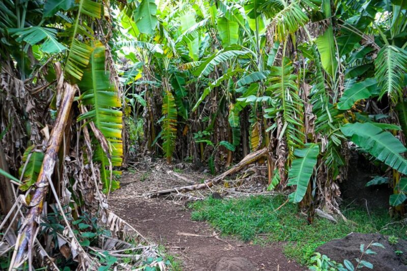 Volcanic Refuges: Excursion to Underground Civilization - Key Points