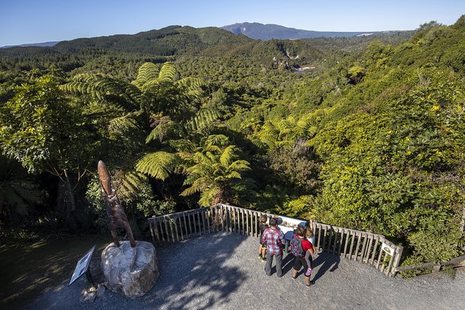 Volcanic Valley Self Guided Walking and Hiking at Waimangu - Hiking Experience and Accessibility