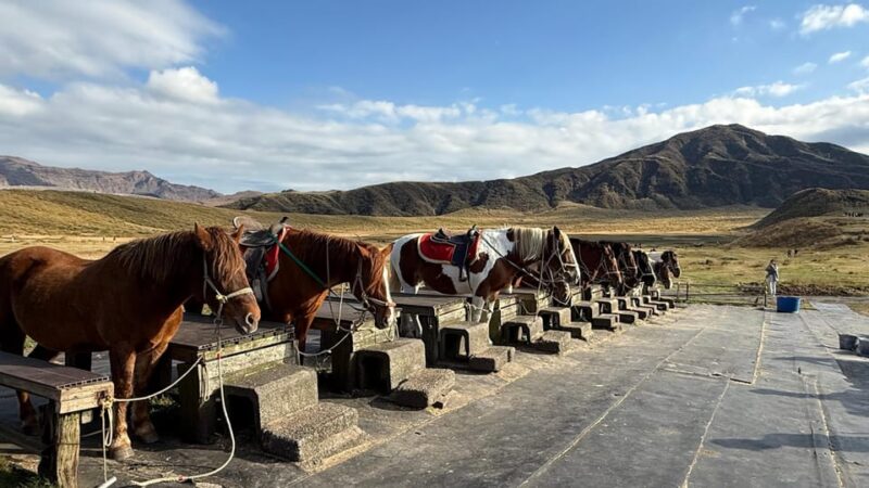 Volcanic Wonders: Private and Helicopter Tour to Mount Aso - Exploring the Volcanic Landscape