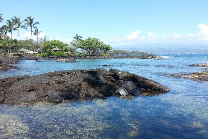 Volcano Adventure Tour & Waterfall - Shore Excursion From Hilo Harbor - Accessibility and Weather