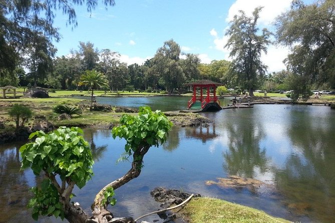 Volcano Adventure Tour & Waterfall - Shore Excursion From Hilo Harbor - Clothing and Infant Seats