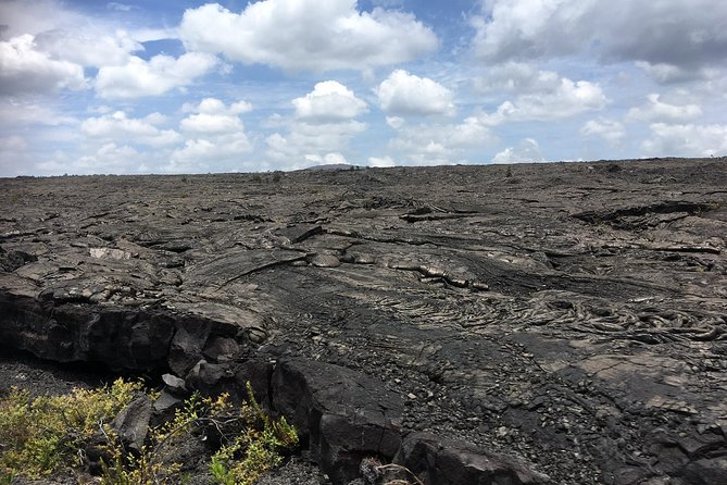 Volcano Adventure Tour & Waterfall - Shore Excursion From Hilo Harbor - Customer Feedback