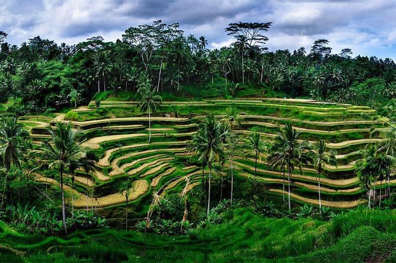 Volcano Amazing Culture Tour - Puseh Batuan Temple