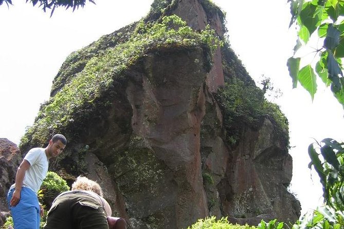 Volcano Crater Hike in St Kitts - Ship Information for Coordination