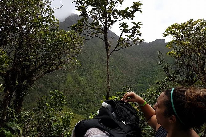 Volcano Crater Hiking Tour in St Kitts - Hike Details