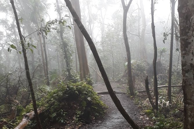 Volcano Crater Hiking Tour in St Kitts - Transport Options