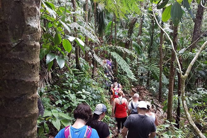 Volcano Crater Hiking Tour in St Kitts - Summit Picnic