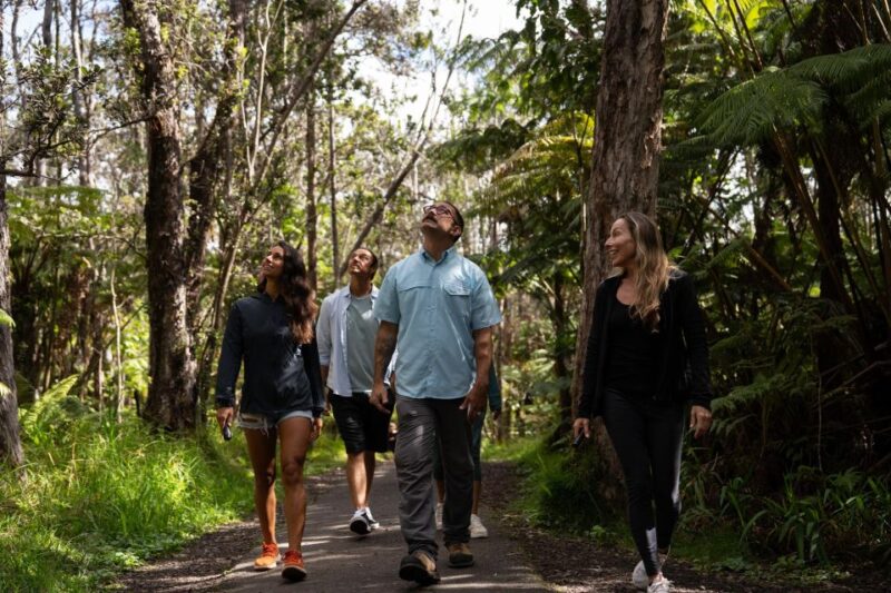 Volcano Explorer: Waikoloa Departure With Hotel Pickup - Booking Information