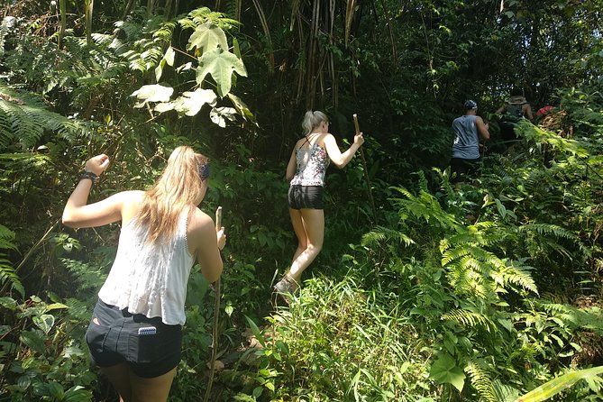 Volcano Hike and Jungle Trekking Adventure - Safety and Health Considerations