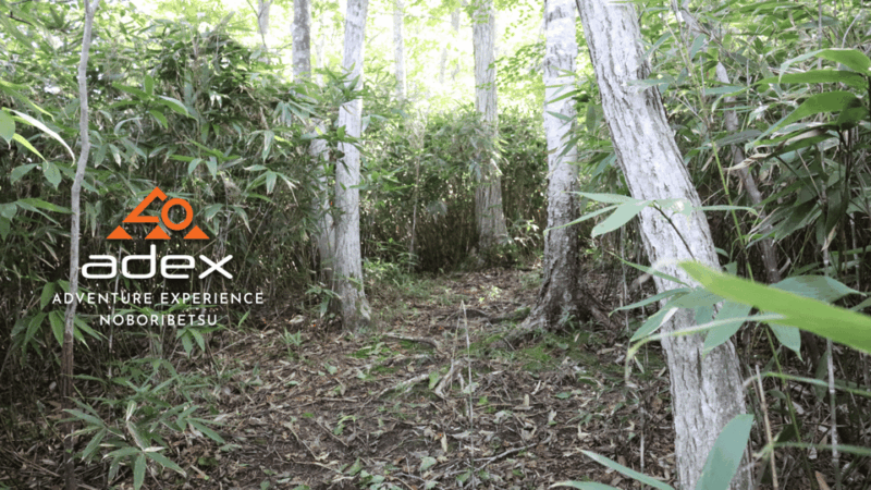 Volcano Hike With Pacific and Kuttara Lake Views - Meeting Point and Logistics