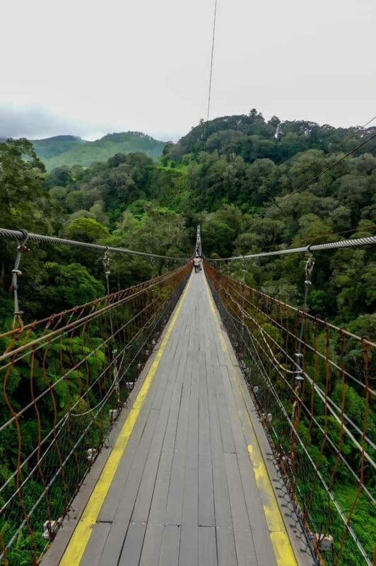 Volcano, Hot Spring, Mud Bath & Tea plantation all included - Transportation & Practicalities