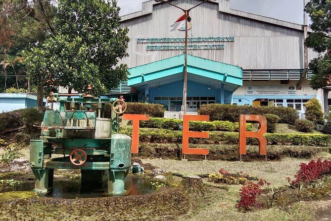Volcano, Hot Spring, Tea Factory, rice fields and Coffee Tour - Practical Details and Value