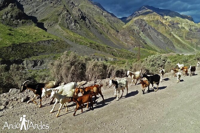 Volcano & Hotsprings 4K From Santiago Private Tour - Hike and Hot Springs Experience