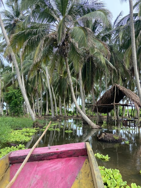 Volcano Mud Bath and Cocotero Island Tour - Preparation Tips