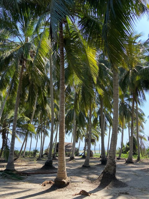 Volcano Mud Bath and Cocotero Island Tour - Customer Feedback