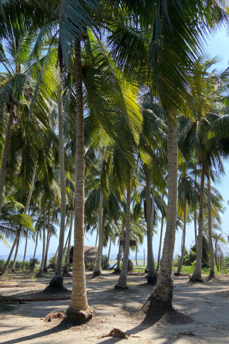 Volcano Mud Bath and Cocotero Island Tour - Frequently Asked Questions