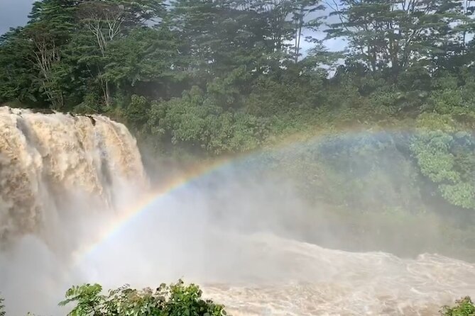 Volcano National Park and Rainbow Fall in Hilo, Hawaii - Guest Experiences and Feedback
