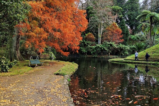 Volcano of Fogo and Furnas Private Tour - Traveler Reviews and Feedback