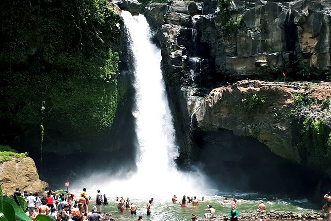 Volcano Scenery Tour - Location and Rating