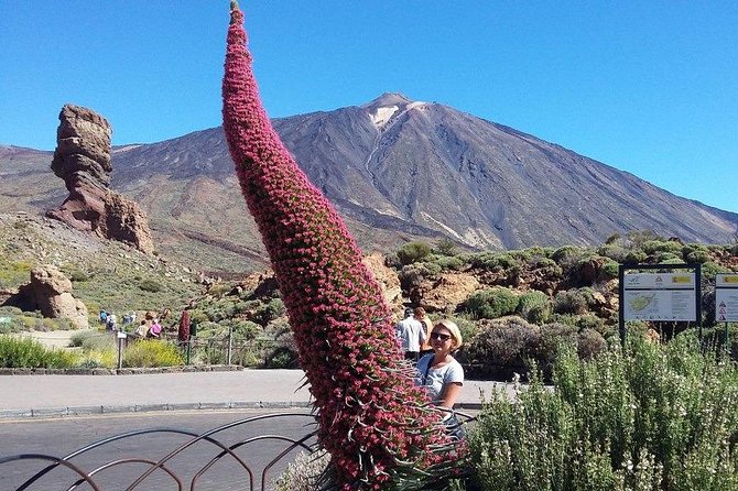 Volcano Teide - Masca Ravine. Guided Tour From Puerto De La Cruz - Tenerife - Pickup and Meeting Details