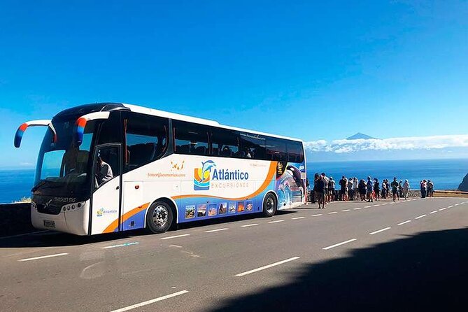 Volcano Teide National Park Guided Tour From Puerto De La Cruz - Tenerife North - What to Expect During the Tour