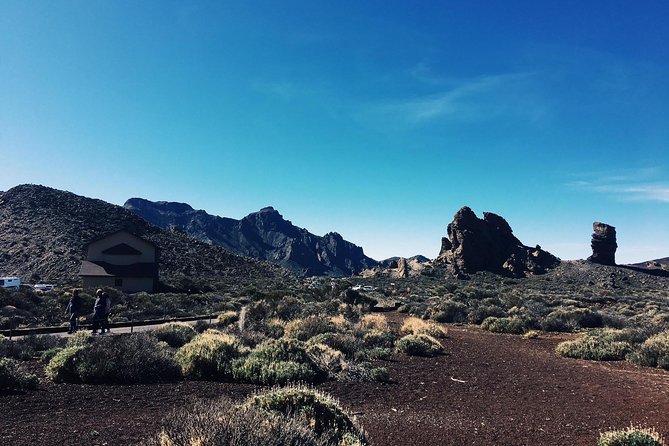 VOLCANO TEIDE NATIONAL PARK Half-Day in a Small Group by Bus - Ratings and Reviews