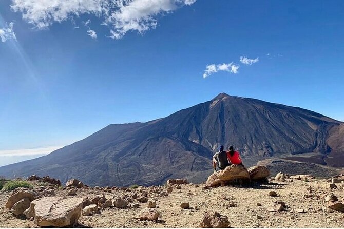 VOLCANO TEIDE NATIONAL PARK Half-Day in a Small Group by Bus - Overview and Experience