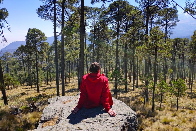 Volcano Tour to Iztaccihuatl - Pricing and Booking Details