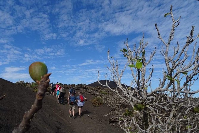 Volcano Trekking Tour (Timanfaya Eruptions) - Inclusions and Amenities
