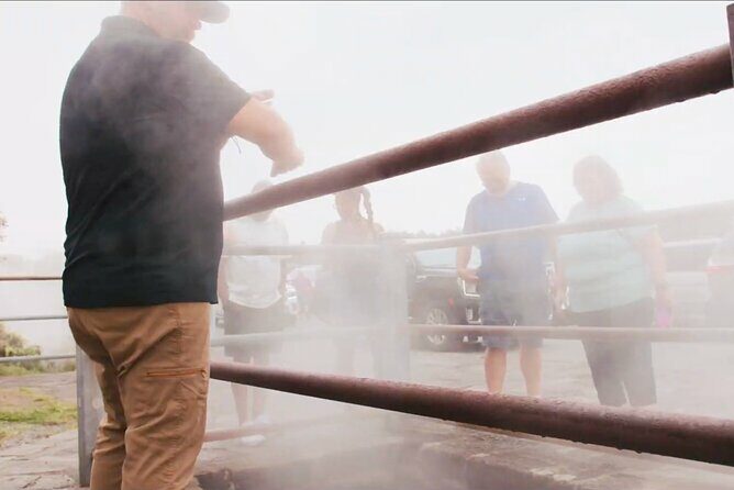 Volcanoes, Beaches and Waterfall Highlights Private Guided Tour - FAQs