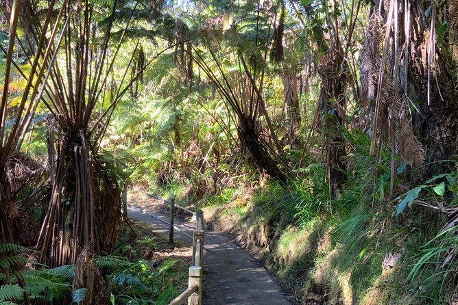 Volcanoes National Park - From Kona - Convenient Transportation