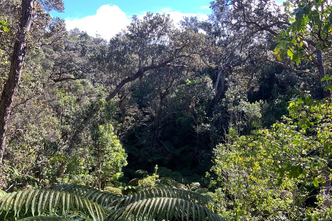 Volcanoes National Park - From Kona - Tour Details