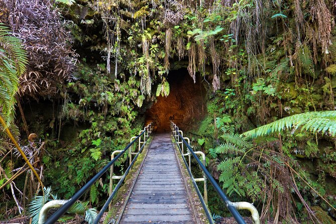 Volcanoes National Park Guided Hike- Small Group Hike - Meeting and End Points of the Tour