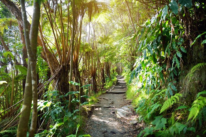 Volcanoes National Park Guided Hike- Small Group Hike - Reviews and Ratings of the Hike