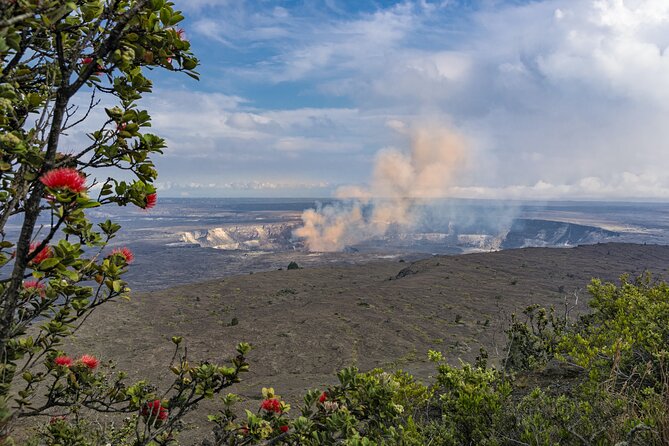 Volcanoes National Park Guided Hike- Small Group Hike - Hiking Through Native Hawaiian Forest