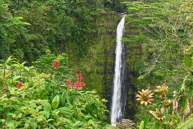 Volcanoes&Stargazing Exclusive Private Van Charter - Mauna Kea Stargazing