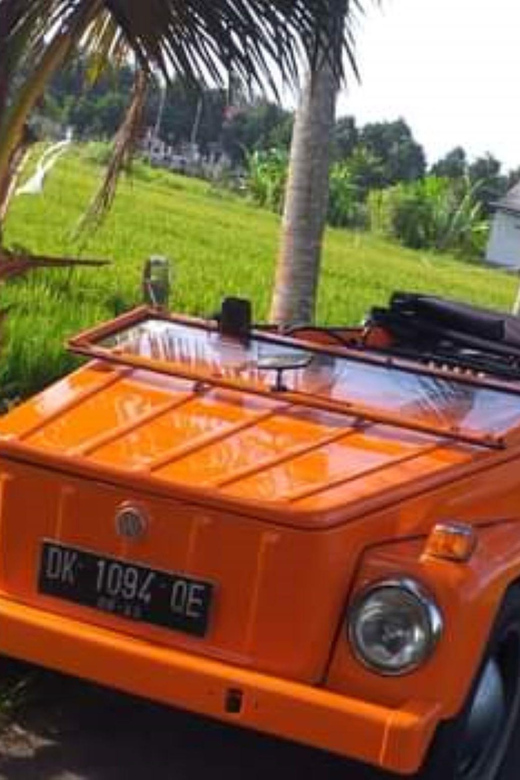 Volkswagen Safari Bali Tour Classic Car Trip Experience - Key Points