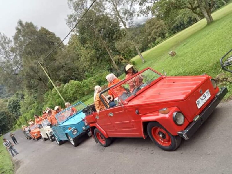 Volkswagen Safari Bali Tour Classic Car Trip Experience - Itinerary Highlights