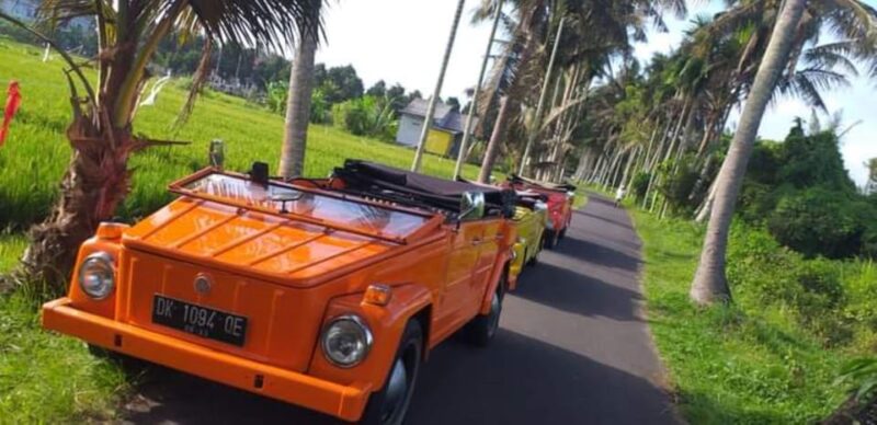 Volkswagen Safari Bali Tour Classic Car Trip Experience - Inclusions