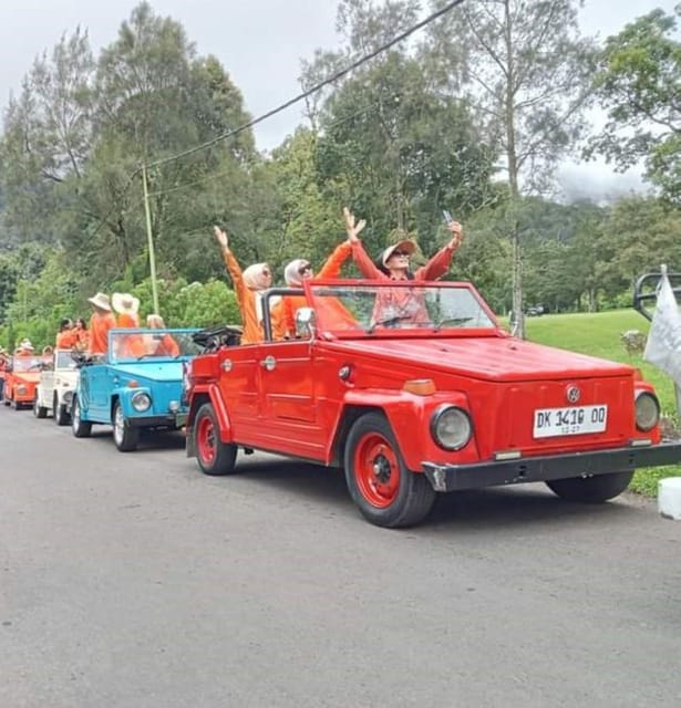 Volkswagen Safari Bali Tour Classic Car Trip Experience - Pricing and Savings
