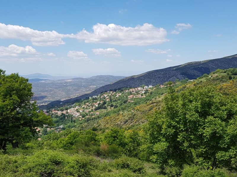 Volos: Cook Like a Local at a Greek Farm - Cooking Experience