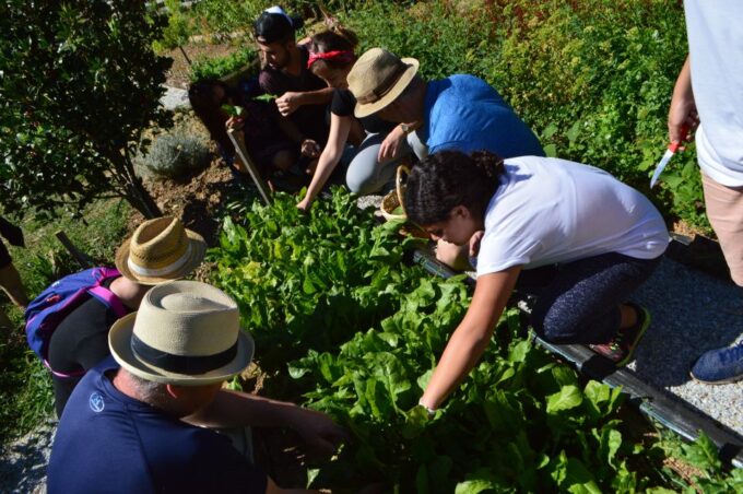 Volos: Cook Like a Local at a Greek Farm - Frequently Asked Questions