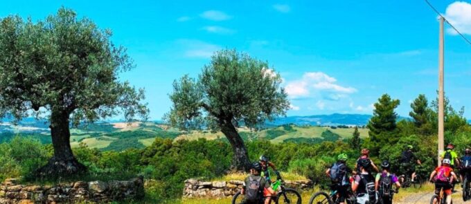 Volterra - Archeotour by E-Bike With Tasting - Group Size and Languages