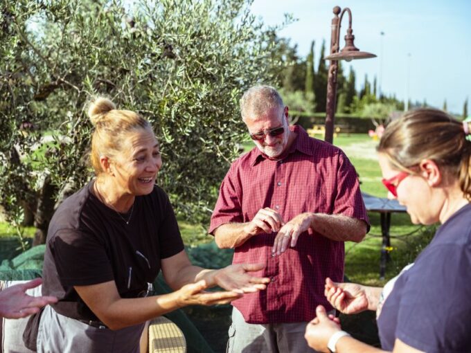 Volterra - Olive Oil Tasting With Lunch With Lunch or Dinner - Panoramic Views of Volterra