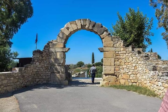Volubilis and Meknes Day Trip From Fez - Accessibility and Participation