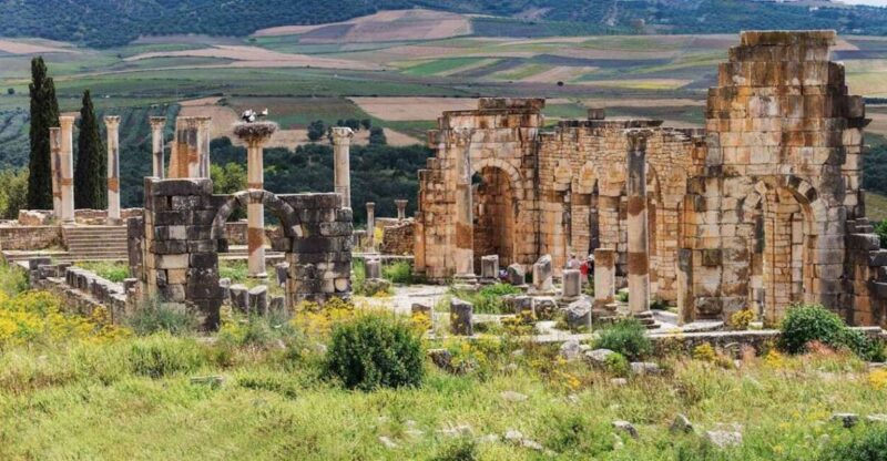 Volubilis: Day Trip From Fez to Volubilis and Meknes - Itinerary Highlights