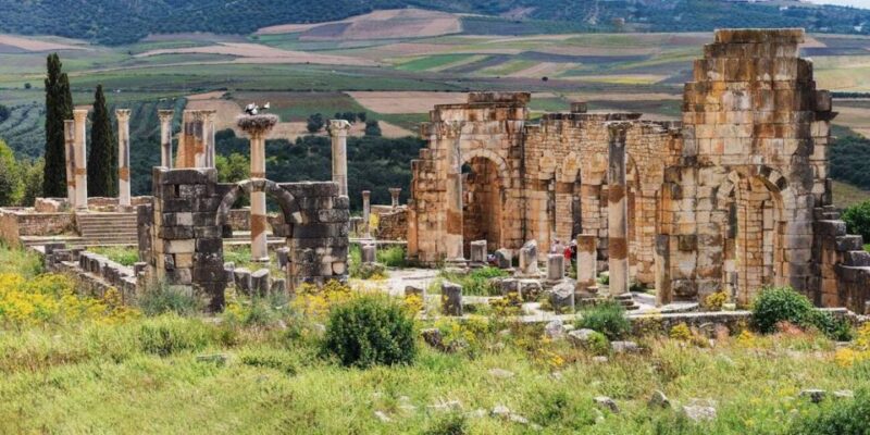Volubilis: Day Trip From Fez to Volubilis and Meknes - Inclusion Details