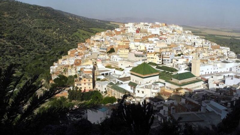 Volubilis: Day Trip From Fez to Volubilis and Meknes - Visiting Meknes