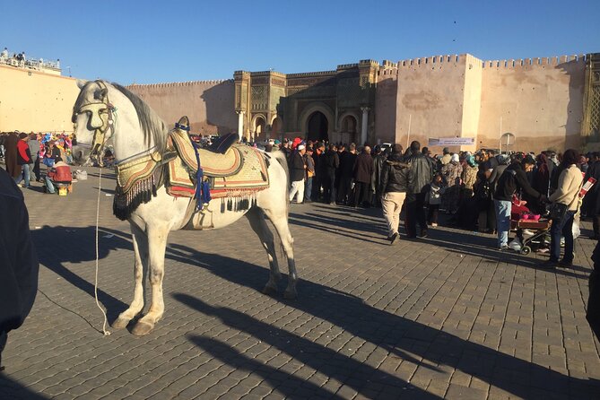 Volubilis, Meknes, Moulay Idriss: Full Day Private Tour From Fes, Morocco - Booking Process